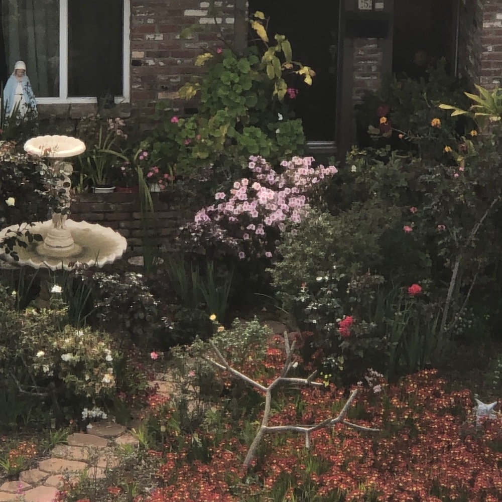 Meet your Posher, Montana